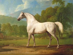 مامبرينو ، ج .1790